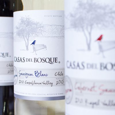 casas-del-bosque2