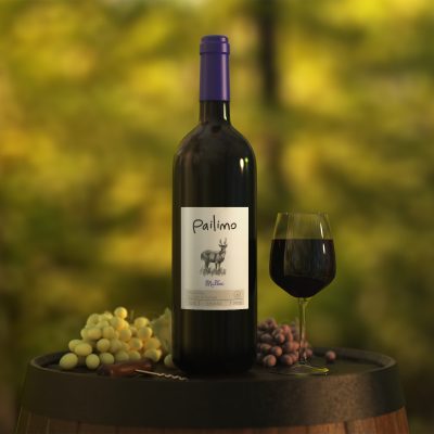 Wine Bottle Mockup